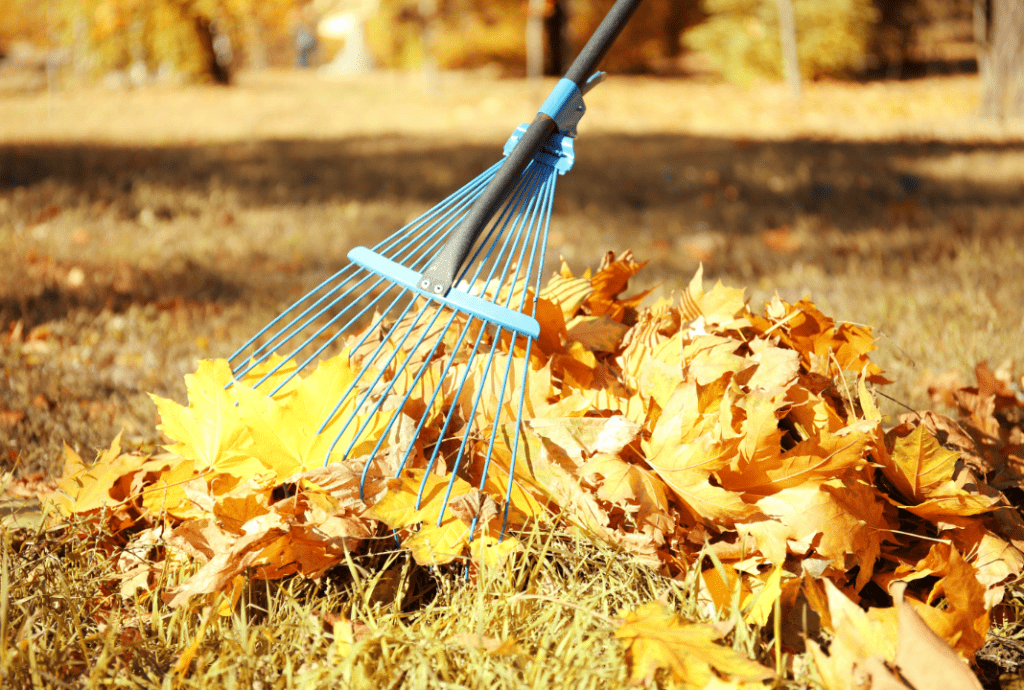 Yard Cleanup Services in Little Rock AR